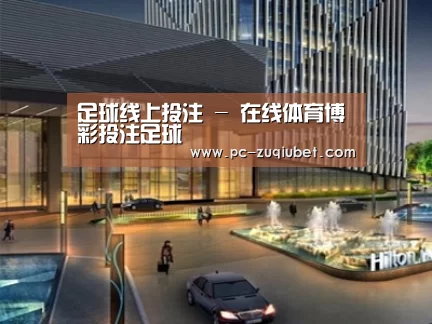 案例展示二