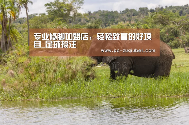 专业修脚加盟店,轻松致富的好项目_足球投注(图1) 足球线上投注