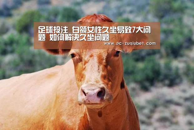 足球投注_白领女性久坐易致7大问题 如何解决久坐问题(图1) 足球投注