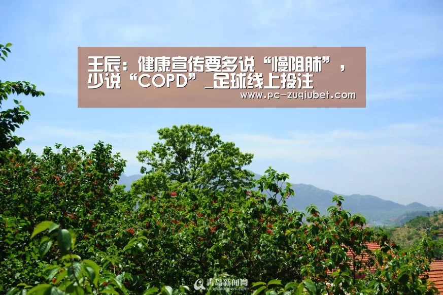 足球投注